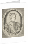 Portrait of Francis II of France by Pieter Heyden van der