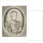 Portrait of Francis II of France by Pieter Heyden van der