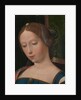 A Female Head, Mid of 16th cen by Master of the Female Half-Lengths