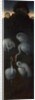 Cranes (The reverse of a Panel from a Triptych), c. 1480 by Hans Memling