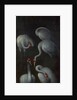 Cranes (The reverse of a Panel from a Triptych), c. 1480 by Hans Memling