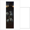 Cranes (The reverse of a Panel from a Triptych), c. 1480 by Hans Memling