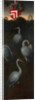 Cranes with the coat of arms of the Pagagnotti family (The reverse of a Panel from a Triptych), c. 1480 by Hans Memling