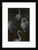 Cranes with the coat of arms of the Pagagnotti family (The reverse of a Panel from a Triptych), c. 1480 by Hans Memling