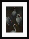 Cranes with the coat of arms of the Pagagnotti family (The reverse of a Panel from a Triptych), c. 1480 by Hans Memling
