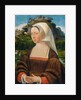 Portrait of a Woman, ca 1530 by Jan Mostaert