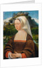 Portrait of a Woman, ca 1530 by Jan Mostaert
