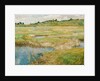 The Concord Meadow, c. 1890 by Childe Hassam