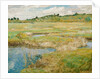 The Concord Meadow, c. 1890 by Childe Hassam