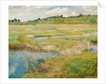 The Concord Meadow, c. 1890 by Childe Hassam