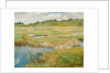 The Concord Meadow, c. 1890 by Childe Hassam