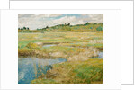The Concord Meadow, c. 1890 by Childe Hassam