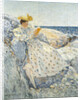 Summer Sunlight (Isles of Shoals), 1892 by Childe Hassam