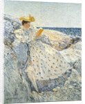 Summer Sunlight (Isles of Shoals), 1892 by Childe Hassam