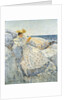 Summer Sunlight (Isles of Shoals), 1892 by Childe Hassam