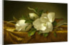 Magnolias on Gold Velvet Cloth, c. 1889 by Martin Johnson Heade
