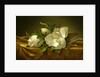 Magnolias on Gold Velvet Cloth, c. 1889 by Martin Johnson Heade