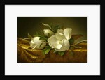 Magnolias on Gold Velvet Cloth, c. 1889 by Martin Johnson Heade