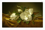 Magnolias on Gold Velvet Cloth, c. 1889 by Martin Johnson Heade