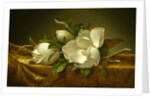 Magnolias on Gold Velvet Cloth, c. 1889 by Martin Johnson Heade