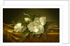 Magnolias on Gold Velvet Cloth, c. 1889 by Martin Johnson Heade