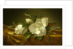 Magnolias on Gold Velvet Cloth, c. 1889 by Martin Johnson Heade