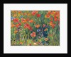 Poppies by Robert William Vonnoh
