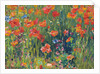 Poppies by Robert William Vonnoh