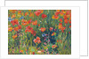 Poppies by Robert William Vonnoh