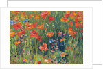 Poppies by Robert William Vonnoh