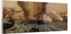 The Battle of Sinop on 30 November 1853, Mid of the 19th cen by Anonymous