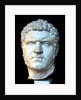 Caracalla, 3rd cen. AD by Classical sculpture Art of Ancient Rome