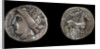 Drachma from Emporion. Obverse: Head of Persephone, 3rd cen. BC by Ancient Coins Numismatic