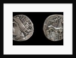 Drachma from Emporion. Obverse: Head of Persephone, 3rd cen. BC by Ancient Coins Numismatic