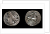 Drachma from Emporion. Obverse: Head of Persephone, 3rd cen. BC by Ancient Coins Numismatic