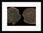 Coins of Uzbeg Khan, ca 1320 by Ancient Coins Numismatic