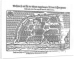 The Moscow Map (From Moscouiter wunderbare Historien by Sigmund von Herberstein), 1567 by Anonymous