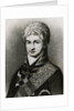 Nikolai Petrovich Rezanov by Anonymous