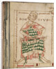 Anicius Manlius Severinus Boethius by Anonymous