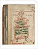Anicius Manlius Severinus Boethius by Anonymous