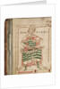 Anicius Manlius Severinus Boethius by Anonymous