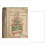 Anicius Manlius Severinus Boethius by Anonymous