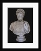 Bust of Lucius Verus, 2nd cen. AD by Classical sculpture Art of Ancient Rome