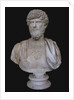 Bust of Lucius Verus, 2nd cen. AD by Classical sculpture Art of Ancient Rome