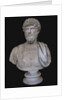 Bust of Lucius Verus, 2nd cen. AD by Classical sculpture Art of Ancient Rome