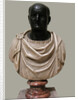 Bust of Vespasian, 1st H. 1st cen. AD by Classical sculpture Art of Ancient Rome