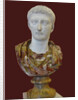 Bust of Tiberius, 1st H. 1st cen. AD by Classical sculpture Art of Ancient Rome