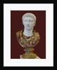 Bust of Tiberius, 1st H. 1st cen. AD by Classical sculpture Art of Ancient Rome