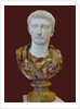 Bust of Tiberius, 1st H. 1st cen. AD by Classical sculpture Art of Ancient Rome
