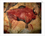 Painting in the cave of Altamira, 35,000 to 11,000 BC by Art of the Upper Paleolithic